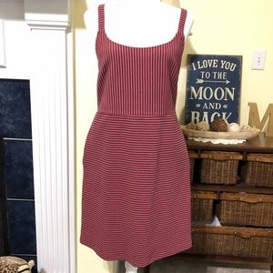 Loft Striped Dress Size 6 Mauve and Black